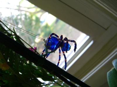 Blue Spider <br>4-5-06