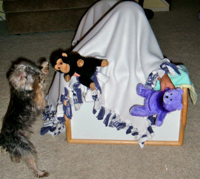 Max and the Puppet Show