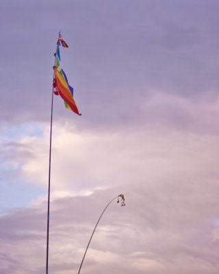 Festival flags