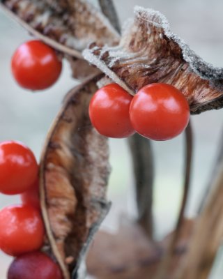 g3/51/659951/3/120367477.vYRj6nZN.jpg