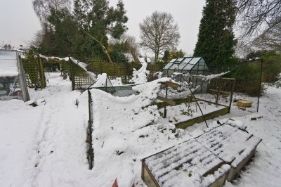 Snow on fruit cage