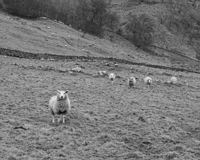 Malham 105