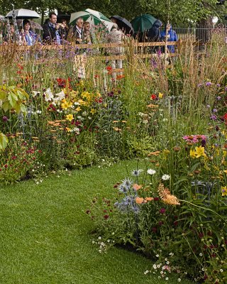 Hampton Court 2009