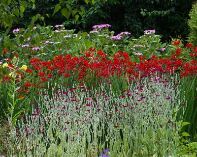 Garden views 2009