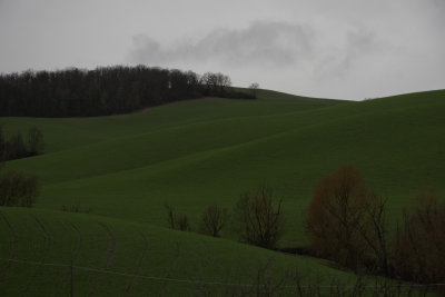 Colli Senesi