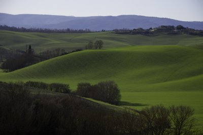 Colli Senesi