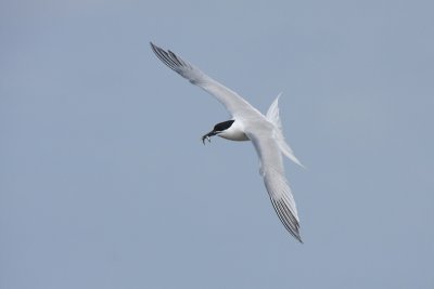 g3/51/705551/3/121263153.t9fCeCE6.jpg