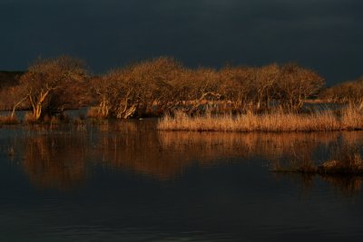 Sunset on the marsh3