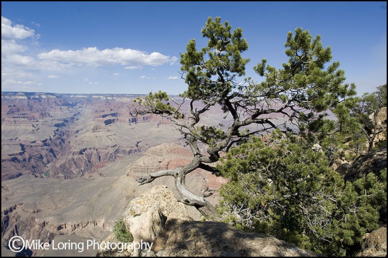 _DSC01445674arizona.jpg