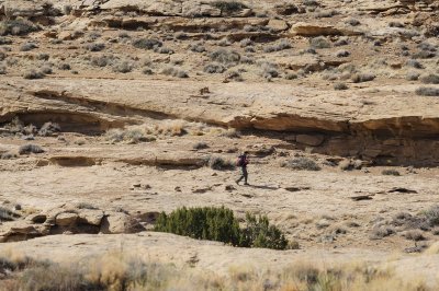 Walking across the mesa.jpg