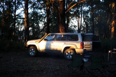Deua NP August 01 03 2008 006.jpg