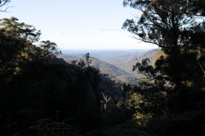 Deua NP August 01 03 2008 013.jpg