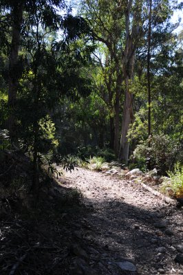 Deua NP August 01 03 2008 018.jpg