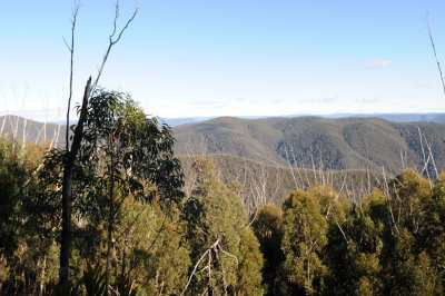 Deua NP August 01 03 2008 025.jpg