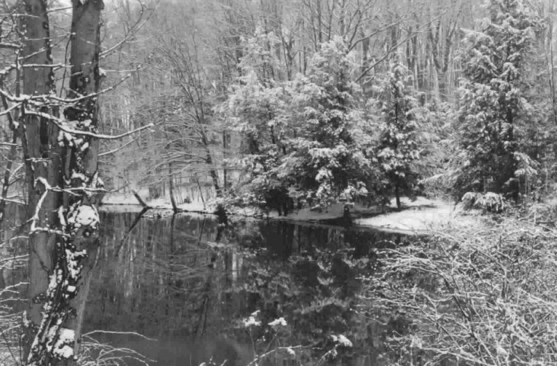 First snow on pond