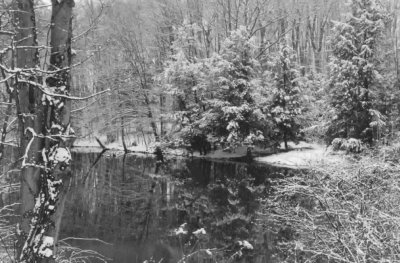 First snow on pond