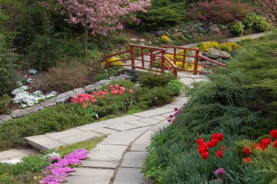 Ravine garden