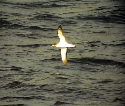 g3/51/802551/3/87697360.fHz2u9mr.jpg