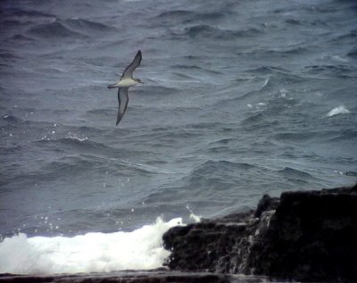 g3/51/802551/3/87697363.ir5sUOyG.jpg