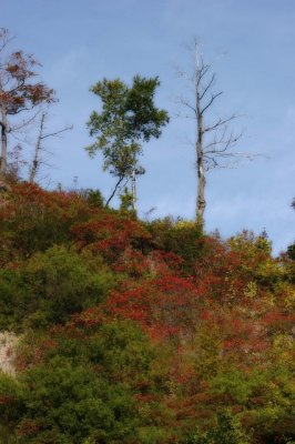 2007 - Scarborough Bluffs