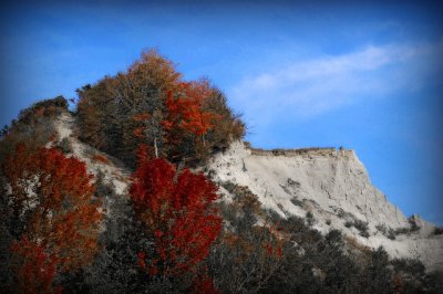 2007 - Scarborough Bluffs