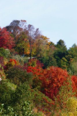 2007 - Scarborough Bluffs