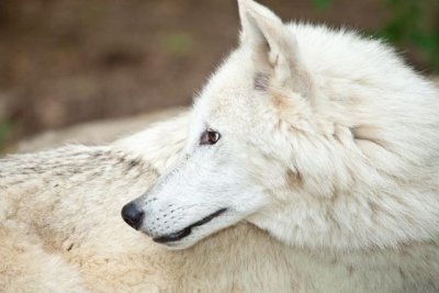 _MG_3921.jpg