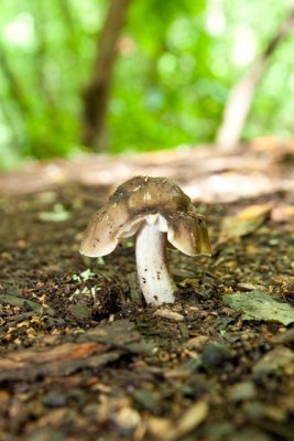 _MG_4246.jpg