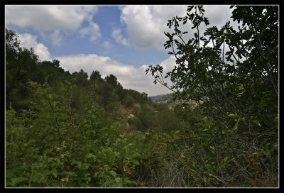 DSC_9757.jpg