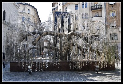 DSC_9984.jpg