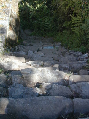 More Inka steps