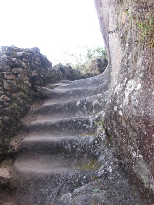 Inca steps to Wayna Picchu