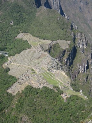 View of Machu Pichu from Wayna Picchu
