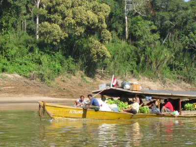 Fruit boat