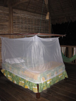 cool mosquito nets