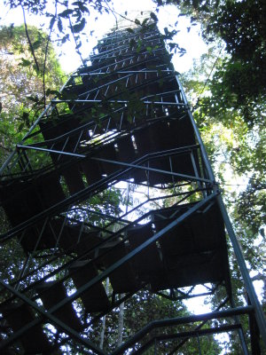 30 mter canopy tower