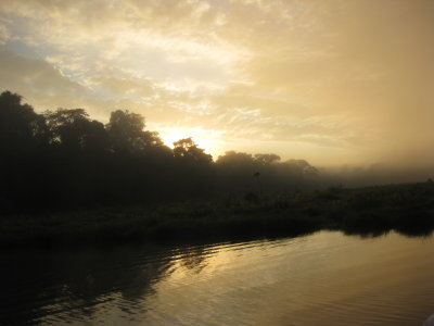 The Amazon at Dawn