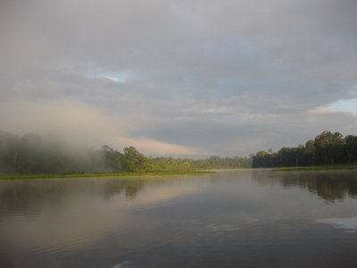 The Amazon at Dawn