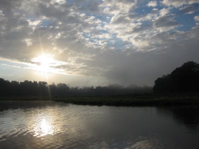 The Amazon at Dawn