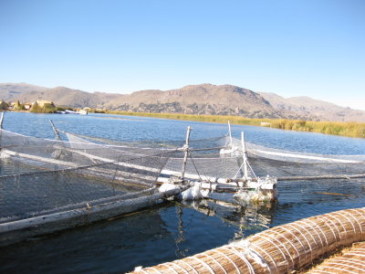 Eban's fishing nets