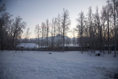 MID WINTER SUN