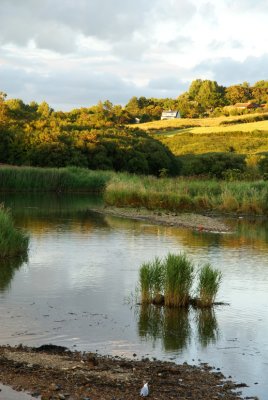 A view Charmouth