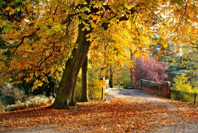 Cannon hill Park