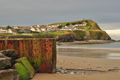 Borth