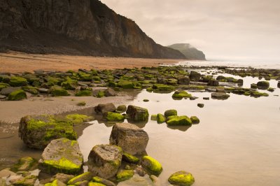 Charmouth rocks