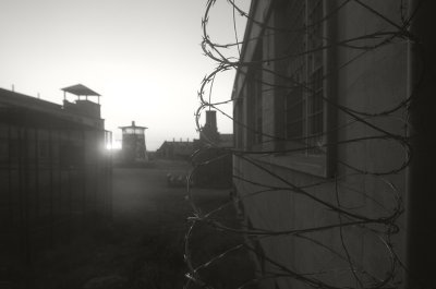 10_Razor Wire Window.jpg
