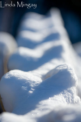 7th January 2010 - snow excuse