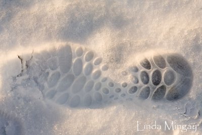 11th January 2010 - taking steps