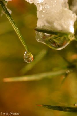 g3/52/150052/3/52814706.tearsmall.jpg
