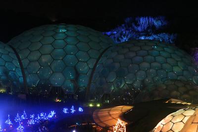 tropical biome at night